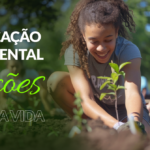 Educação Ambiental: Lições Para A Vida