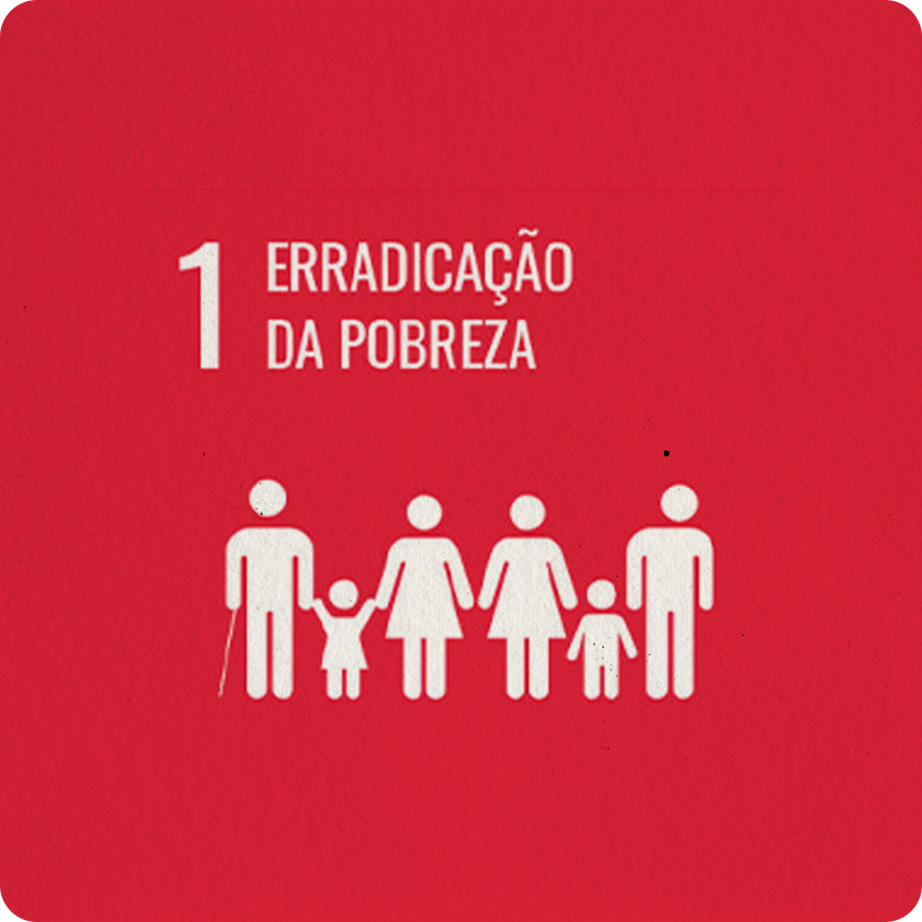 INSTITUTO-4-ELEMENTOS-ERRADICAÇÃO-DA-POBREZA