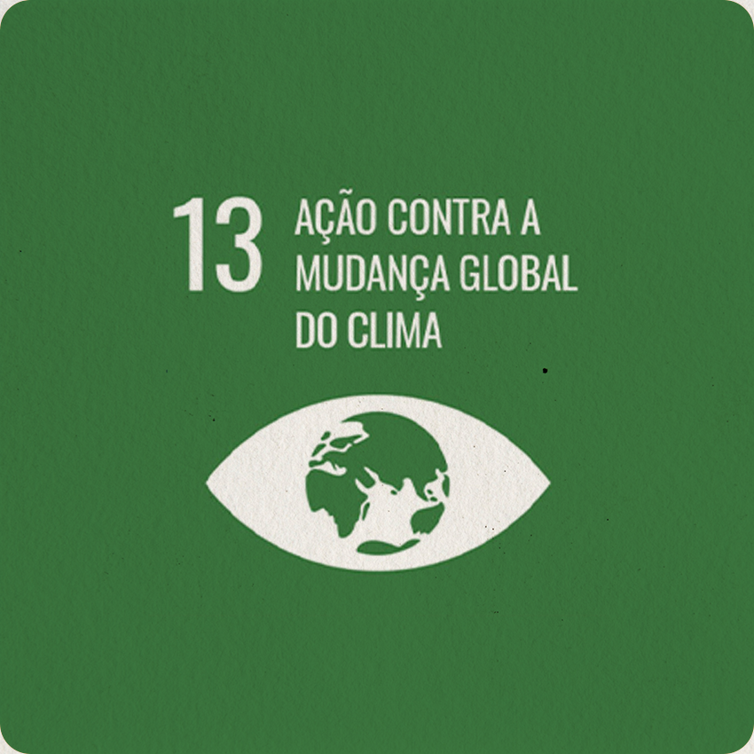 INSTITUTO-4-ELEMENTOS-ODS-ACAO-CONTRA-MUDANCA-GLOBAL-DO-CLIMA