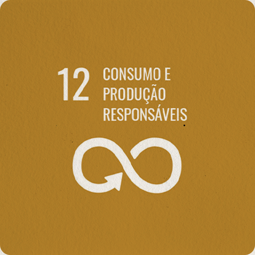 INSTITUTO-4-ELEMENTOS-ODS-CONSUMO-E-PRODUCAO-RESPONSAVEIS