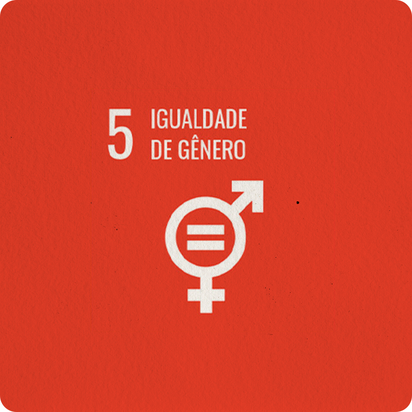 INSTITUTO-4-ELEMENTOS-ODS-IGUALDADE-DE-GENERO