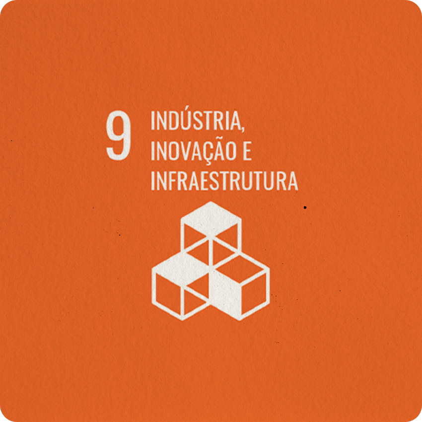 INSTITUTO-4-ELEMENTOS-ODS-INDUSTRIA-E-INOVAÇÃO