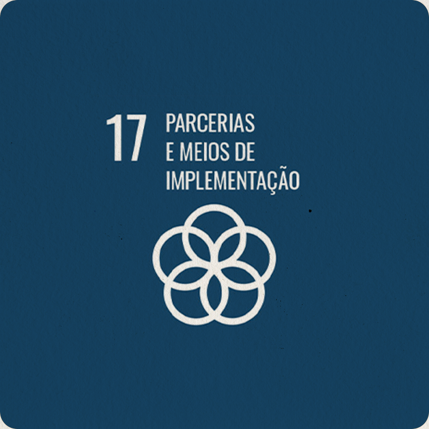 INSTITUTO-4-ELEMENTOS-ODS-PARCERIAS-E-MEIOS-DE-IMPLANTACAO