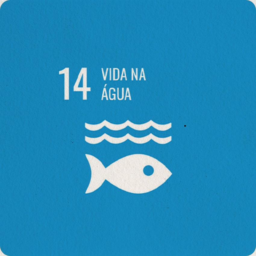 INSTITUTO-4-ELEMENTOS-ODS-VIDA-NA-AGUA