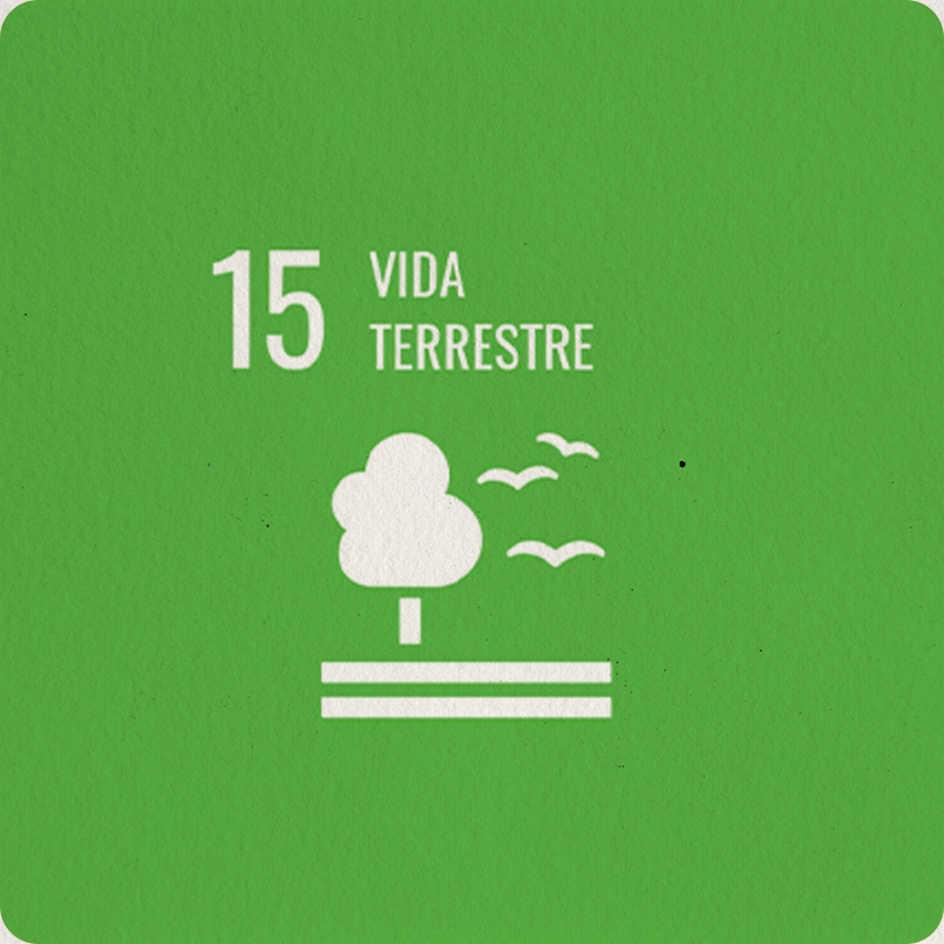 INSTITUTO-4-ELEMENTOS-ODS-VIDA-TERRESTRE